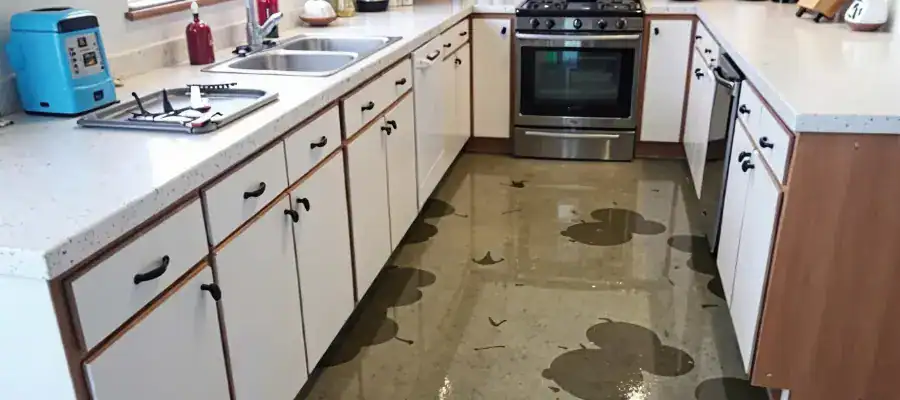 A flooded kitchen